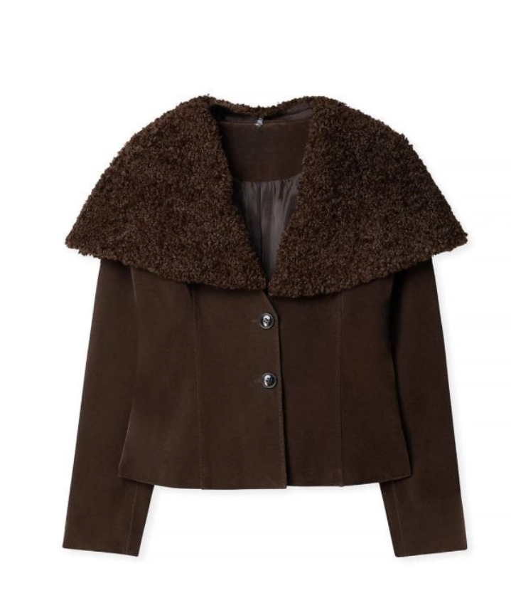 Faux Fur Collar Brown Jacket