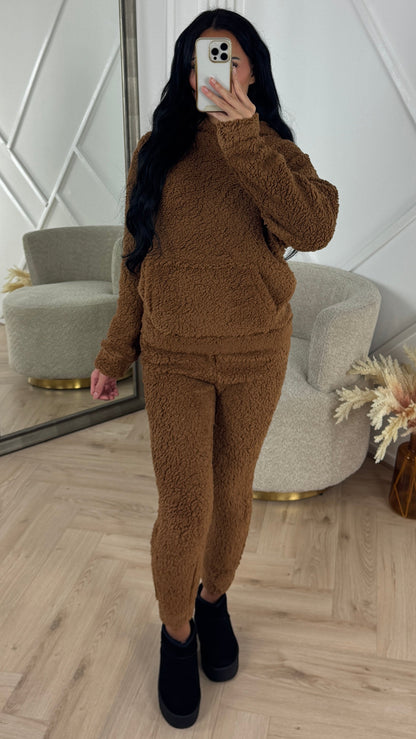 Teddy Two-Piece Set with Hoodie